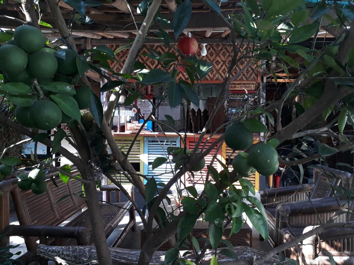 Arjuna Garden Homestay Yogyakarta Exteriér fotografie